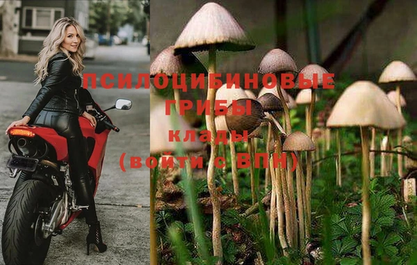 мескалин Беломорск
