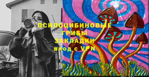 дурь Белокуриха